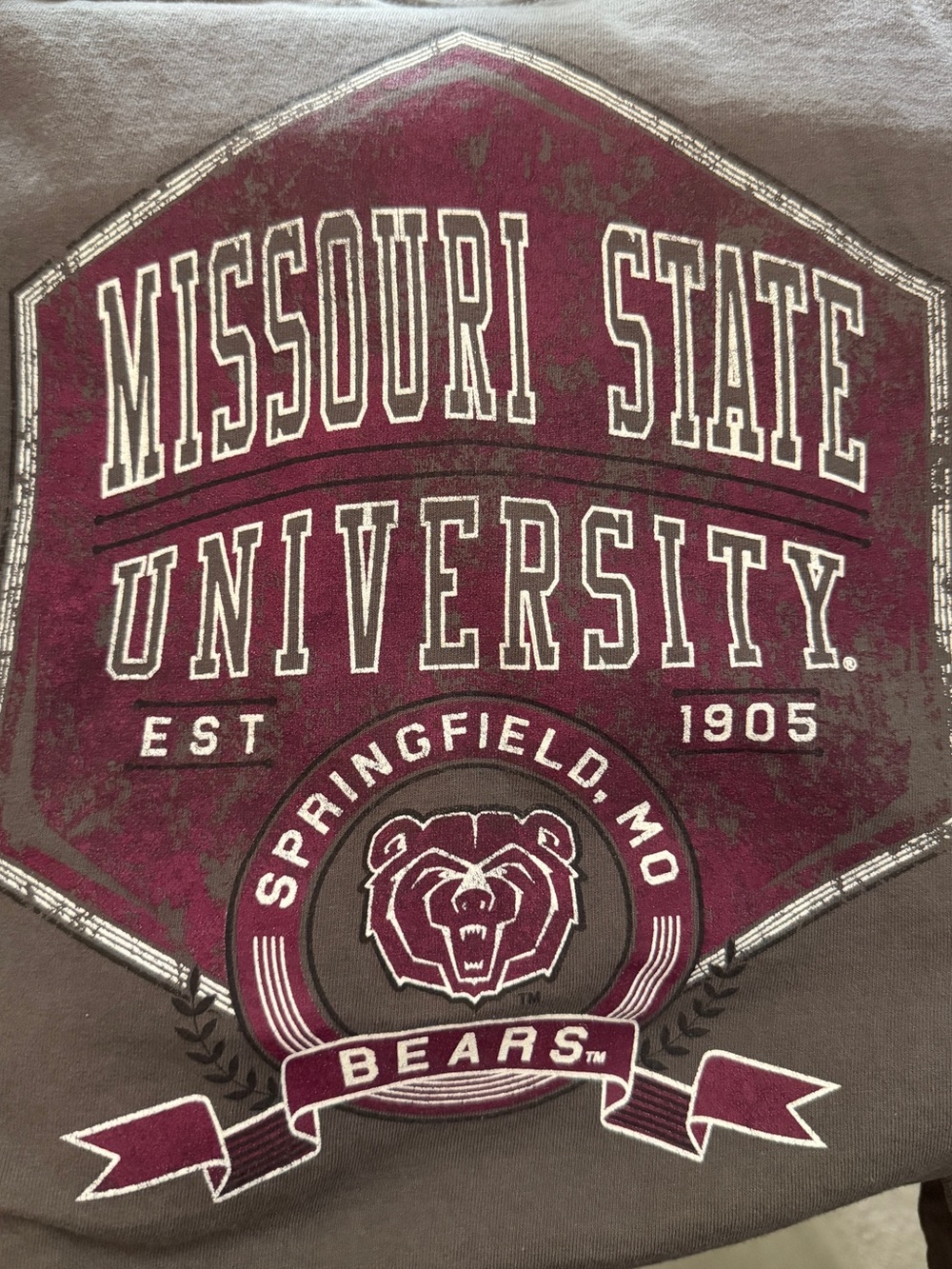 🐻 MO State Tee